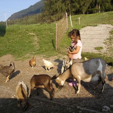 Binterhof Rosalpina App