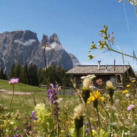 Binterhof Rosalpina App