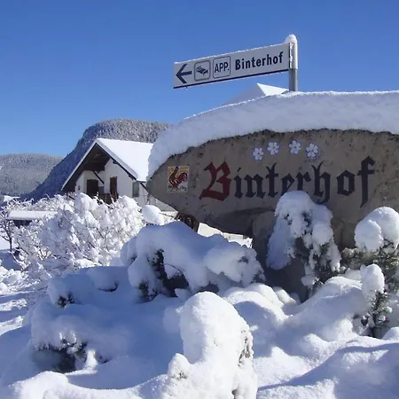 Binterhof Rosalpina App Castelrotto