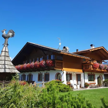 Binterhof Rosalpina App