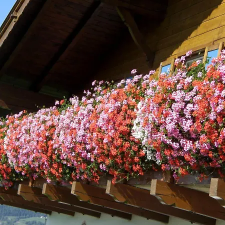 Binterhof Rosalpina App Farm stay